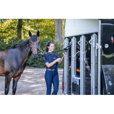 Trailer Trasporto cavalli Boeckmann Comfort in Vetroresina  due posti